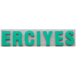 Erciyes-Supermarket-Türkmen-Recep-Logo